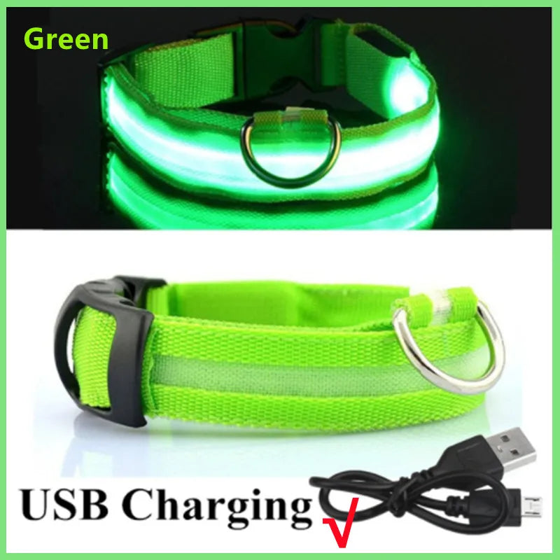 COLLAR LUMINOSO AJUSTABLE