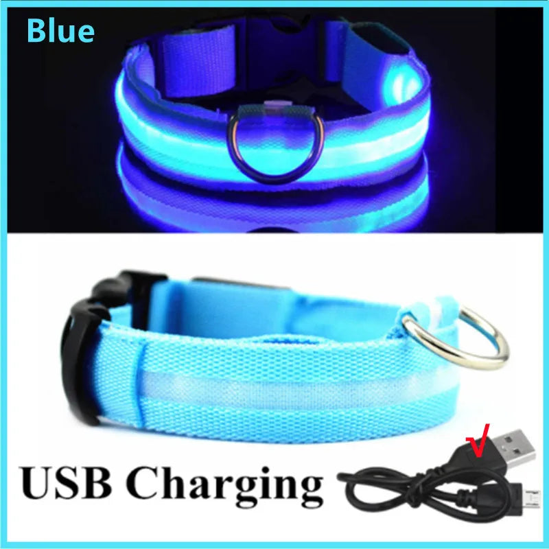 COLLAR LUMINOSO AJUSTABLE