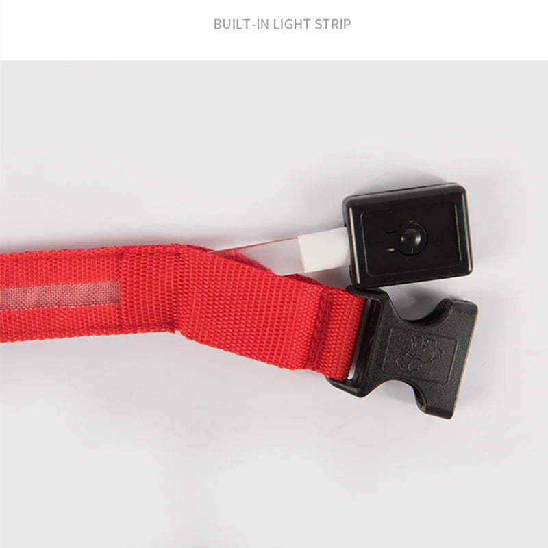 COLLAR LUMINOSO AJUSTABLE
