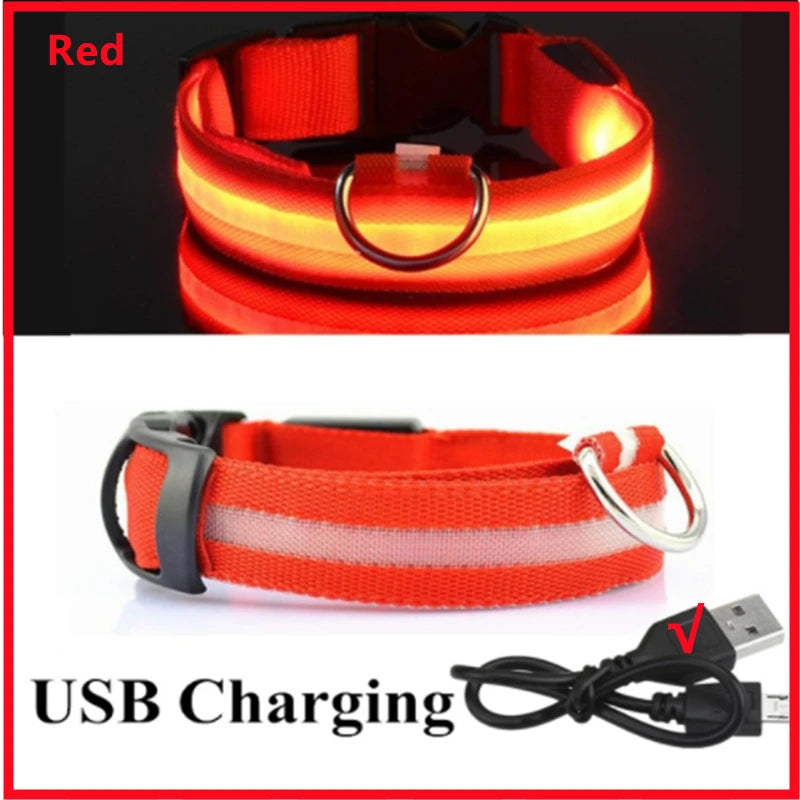COLLAR LUMINOSO AJUSTABLE