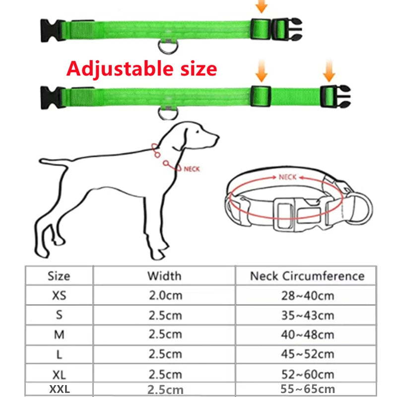 COLLAR LUMINOSO AJUSTABLE