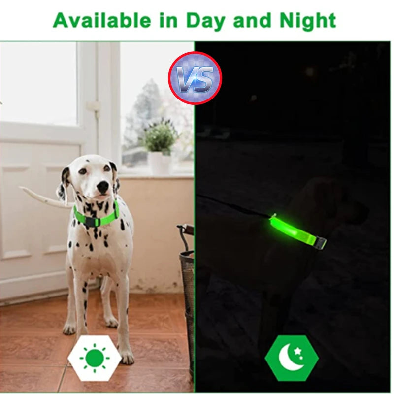 COLLAR LUMINOSO AJUSTABLE