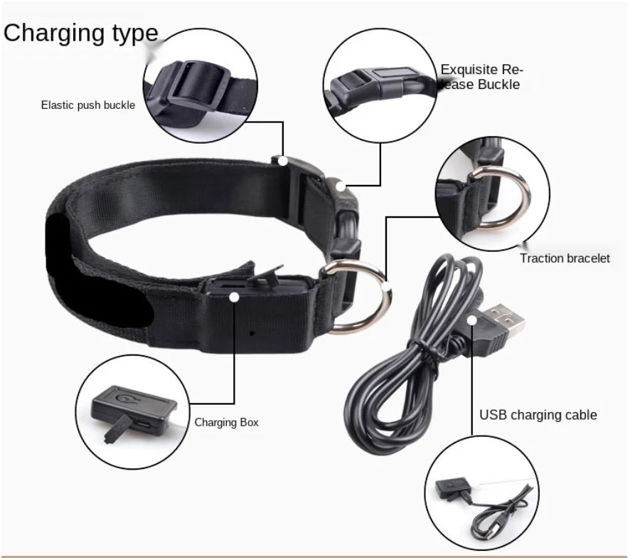 COLLAR LUMINOSO AJUSTABLE