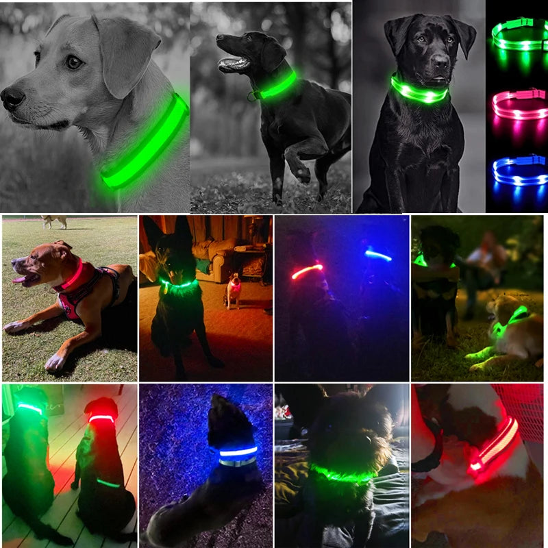 COLLAR LUMINOSO AJUSTABLE