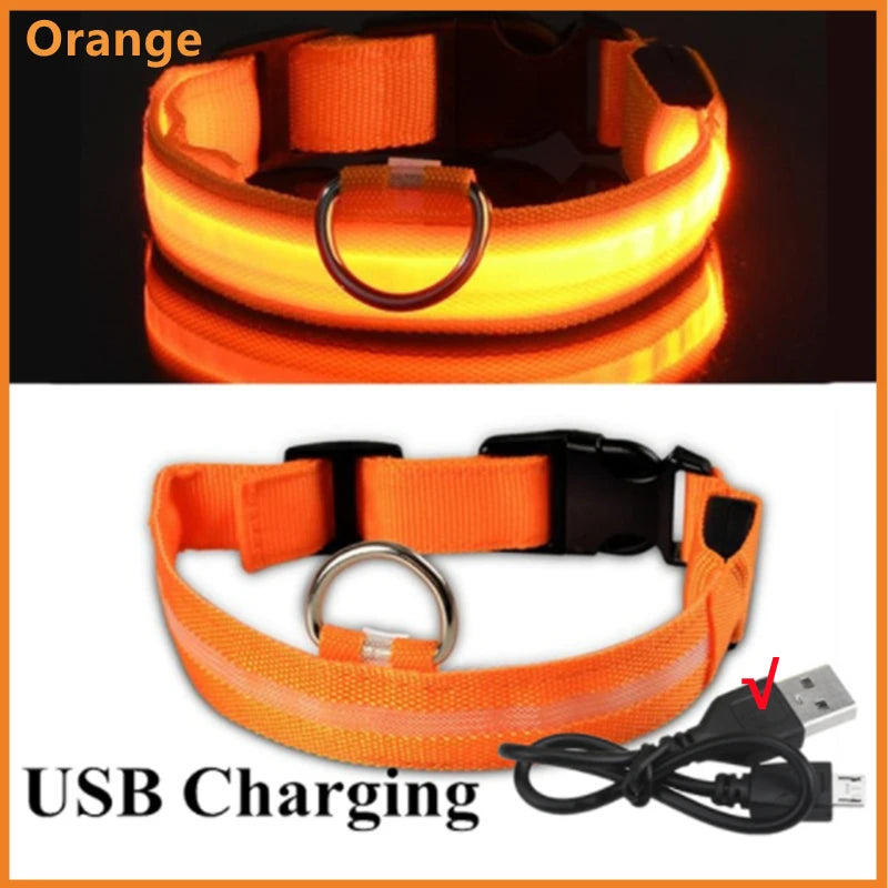 COLLAR LUMINOSO AJUSTABLE