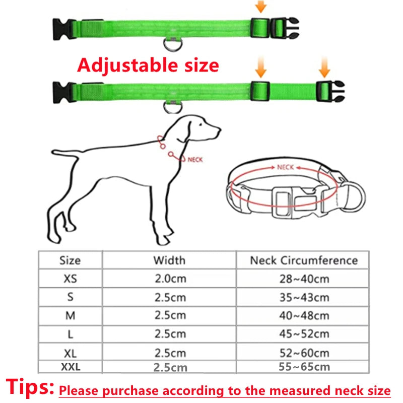 COLLAR LUMINOSO AJUSTABLE