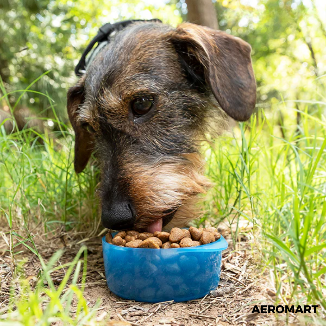BOTELLA 2 EN 1 PARA MASCOTAS