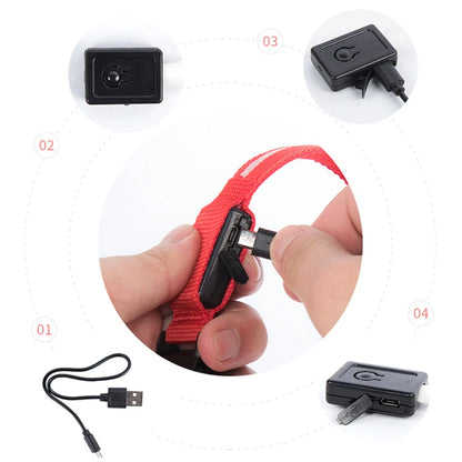 COLLAR LUMINOSO AJUSTABLE