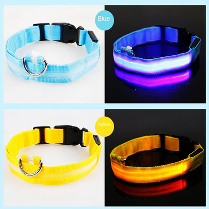 COLLAR LUMINOSO AJUSTABLE