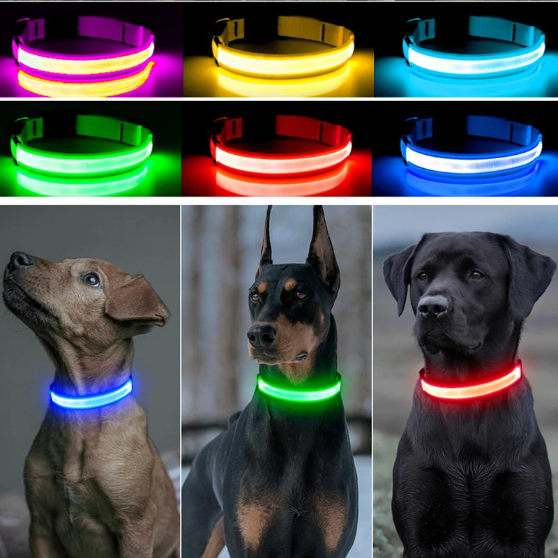 COLLAR LUMINOSO AJUSTABLE