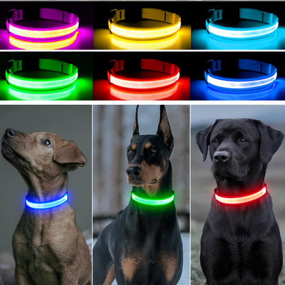 COLLAR LUMINOSO AJUSTABLE