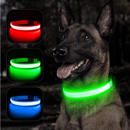 COLLAR LUMINOSO AJUSTABLE